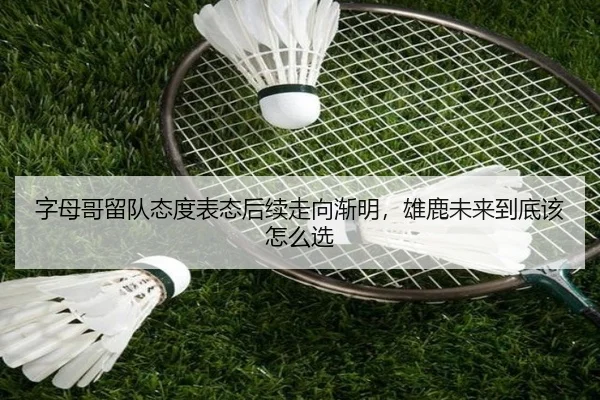 字母哥留队态度表态后续走向渐明，雄鹿未来到底该怎么选
